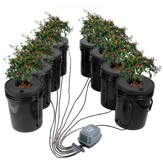 VEVOR DWC Hydroponics Grow System, Hydroponisches Anbausystem, Deep Water Culture 5-Gallonen 8 Eimer, DWC-System mit Luftpumpe, Luftsteinen und Wasserstandsanzeige für Blattgemüse VEVOR DWC Hydroponics Grow System, Hydroponisches Anbausystem, Deep Water Culture 5-Gallonen 8 Eimer, DWC-System mit Luftpumpe, Luftsteinen und Wasserstandsanzeige für Blattgemüse