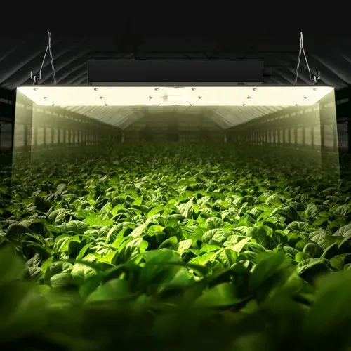 VEVOR 300W Dimmbar Pflanzenlampe 40x60x12cm LED Pflanzenlampe 710x Samsung 281B Vollspektrum 40000lm Lichtstrom Wachstumslampe 760nm Infrarot-Wellenlänge Pflanzenlicht Gewächshaus Anbauzelt Balkon – Bild 7