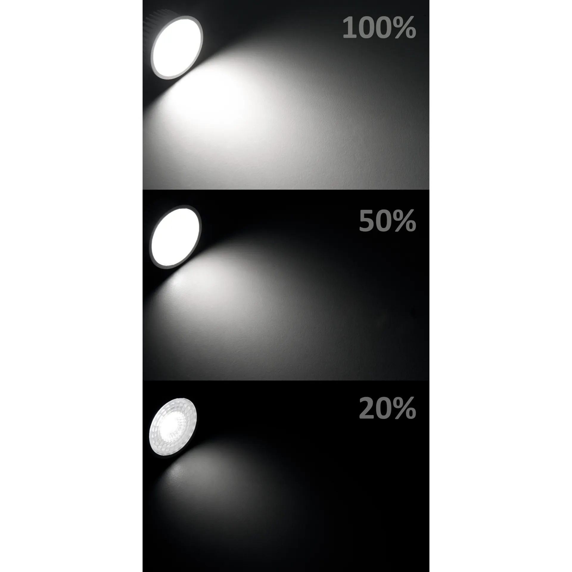 LED-Modul McShine ''MCOB'' 5W, 400lm, 230V, 50x25mm, neutralweiß, step-dimmbar – Bild 2