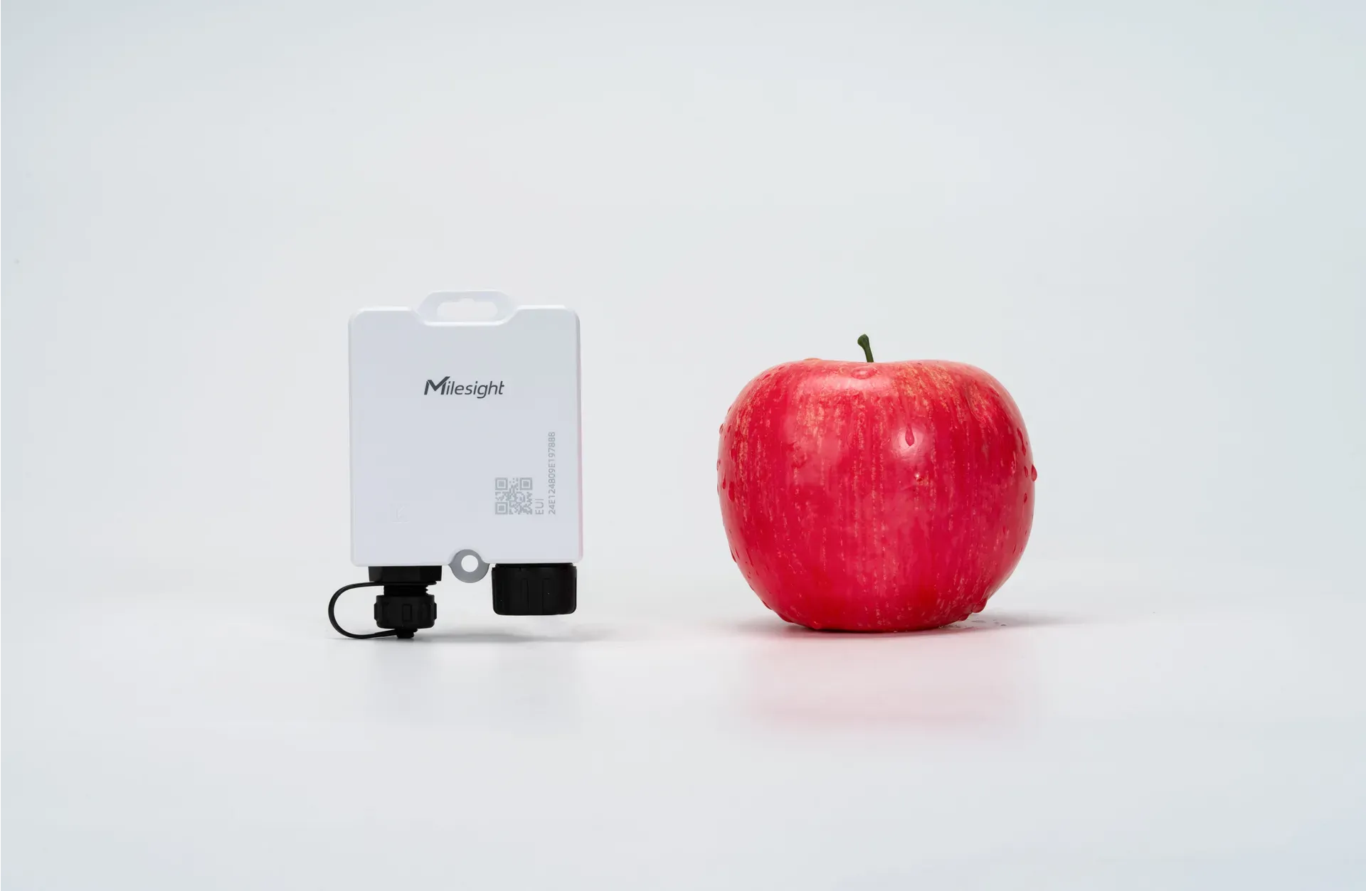 Milesight IoT Temperature Sensor, TS201-868M LoRaWAN – Bild 4