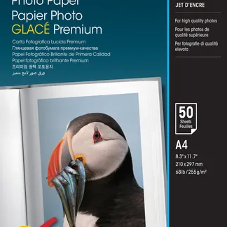 Epson Premium Glossy Photo Paper – A4 – 50 Blätter Epson Premium Glossy Photo Paper – A4 – 50 Blätter