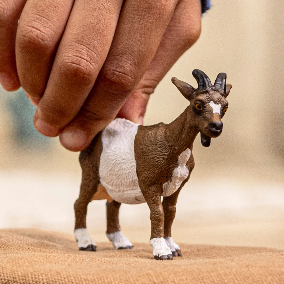 schleich FARM WORLD Ziege – Bild 2