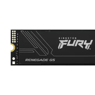 Kingston Technology 1T FURY RENEGADE G5 M.2 2280 NVMe SSD Kingston Technology 1T FURY RENEGADE G5 M.2 2280 NVMe SSD