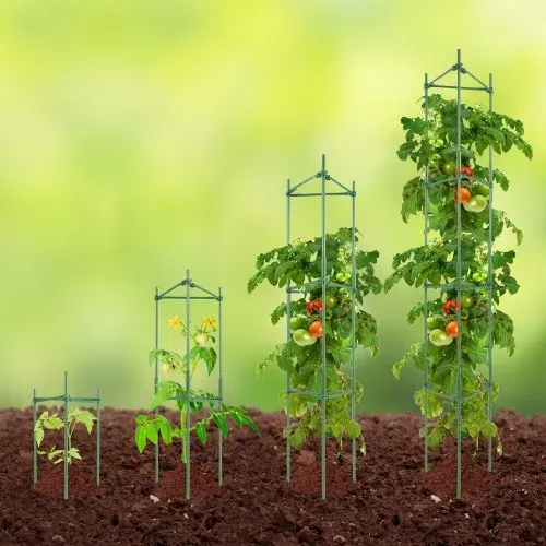 VEVOR 4er-Pack Tomatenkäfige für den Garten, 63 Zoll Tomaten-Spalier-Pflanzenpfahl-Unterstützung, stapelbarer hoher Pflanzenstützkäfig, für Hochbeete, Gemüse, Blumen und Kletterpflanzen – Bild 7