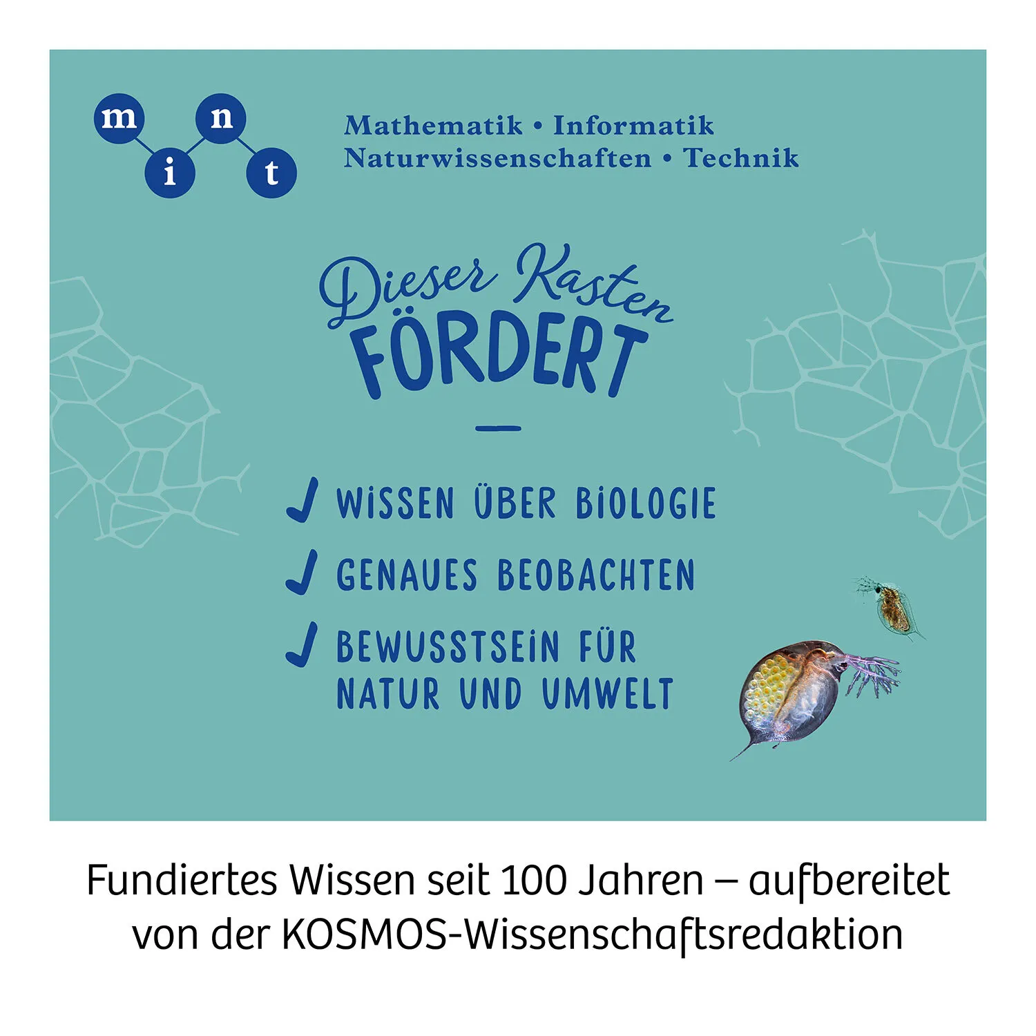 Kosmos 33414758 Wissenschafts-Bausatz & -Spielzeug für Kinder – Bild 6