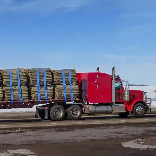 VEVOR Windengurte, 4" x 30', 6000 lbs Tragfähigkeit, 18000 lbs Bruchfestigkeit, LKW-Gurte mit flachem Haken, für Anhänger, Bauernhöfe, Rettungen, Baumschoner, blau (10er-Pack) – Bild 7