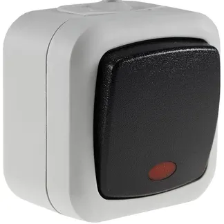 Feuchtraum Kontroll-Schalter, IP44 250V~/ 10A, inkl. AP-Rahmen, grau Feuchtraum Kontroll-Schalter, IP44 250V~/ 10A, inkl. AP-Rahmen, grau