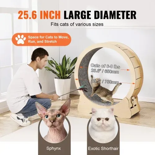 VEVOR Katzenlaufrad, 750 mm, Katzenlaufband für den Innenbereich, mit abnehmbarem Laufband, Katzen-Teaser zum Laufen, Gehen, Training, Laufrad Katzen, geeignet für die meisten Katzen bis zu 3,6 kg – Bild 3