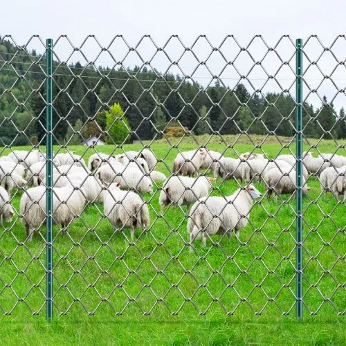 VEVOR 5 Fuß Zaunpfosten, 10er-Pack T-Pfosten Hochleistungs-Zaunpfosten aus Metall, stabile Zaunpfähle aus Stahl für Gartenhof, Rasen, Bauernhöfe und Maschendrahtzäune im Freien, grün – Bild 7