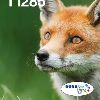 Epson Fox Multipack 4-colours T128 EasyMail Epson Fox Multipack 4-colours T128 EasyMail