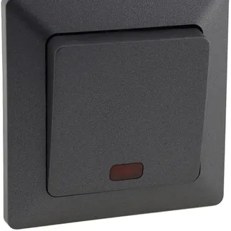 MILOS Kontroll-Schalter mit Lämpchen 250V~/ 10A, inkl. Rahmen, UP, Anthrazit MILOS Kontroll-Schalter mit Lämpchen 250V~/ 10A, inkl. Rahmen, UP, Anthrazit
