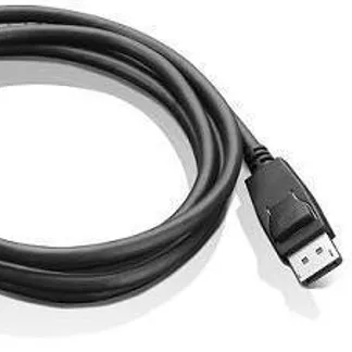 Lenovo DisplayPort 1,8 m Schwarz Lenovo DisplayPort 1,8 m Schwarz