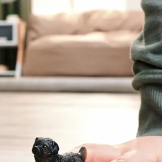 schleich 14925 Kinderspielzeugfigur schleich 14925 Kinderspielzeugfigur