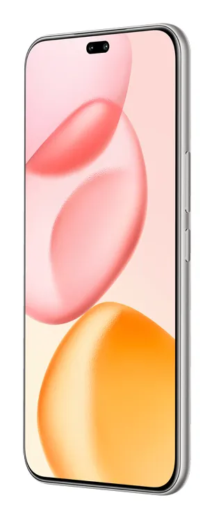 Honor 400 Pro 17 cm (6.7") MagicOS 9.0 5G 12 GB 512 GB 5300 mAh Grau – Bild 2